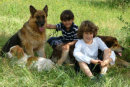 Urlaub mit Hund